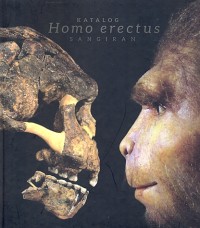 Katalog homo erectus sangiran