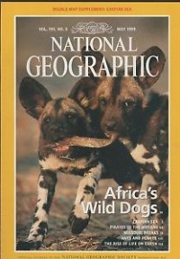 National geographic : africa's wild dogs vol. 195 no. 5