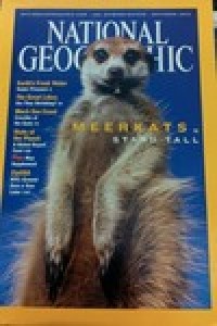 National geographic : Meekats stand tall Vol.202 No.3