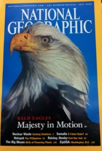 National geographic : Bald eagles majesty in motion Vol.202 No.1