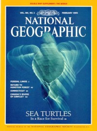 National geographic : Sea turtles in a race for survival Vol.185 No.2