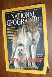 National geographic : Wolf to woof Vol.201 No.1