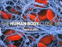 The human body close-up