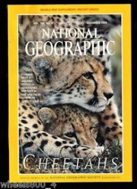 National geographic : Cheetahs vol.196 n0.6