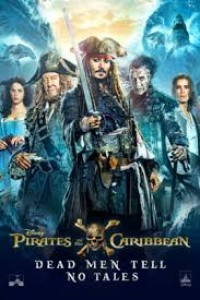 Pirates of the caribbean [DVD]