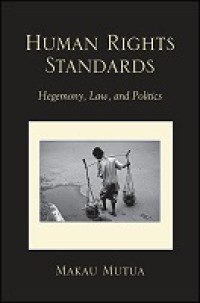 Human Rights Standards : Hegemony, Law, and Politics