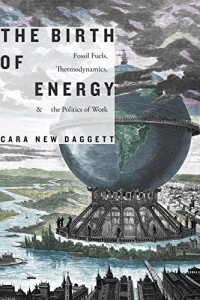 The Birth of Energy : Fossil fuels, thermodynamics and the politics of work