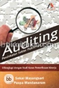 Auditing pendekatan sektor publik dan privat