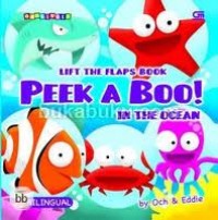 Peek a boo! : in the ocean