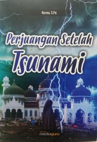 Perjuangan setelah tsunami