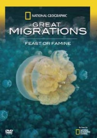 Great migrations : feast or famine