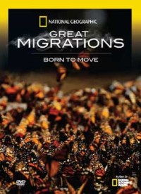 Great migrations : born to move