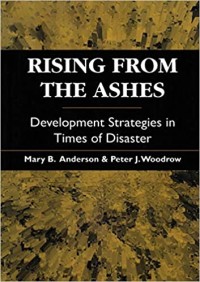 Rising from the ashes : Development strategies in times of disaster