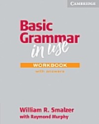Basic grammar in use: Workbook with answers